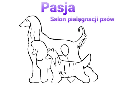 PASJA Salon Pielęgnacji Psów Anna Andrzejewska
